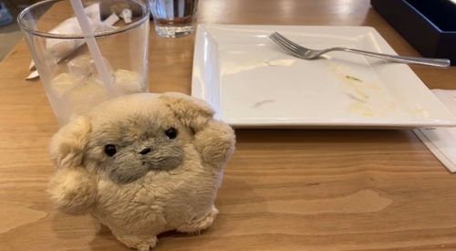 ふく　ひとくちももらてない　けど