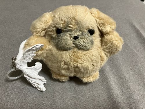 ほしかたやつ　いっかいででたよ！