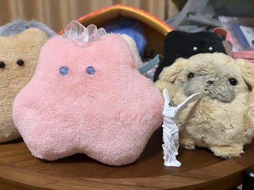 かいぬし、このこ　だれ？
