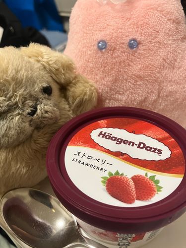 かいぬし　ふくにかくれてあいすたべてる？