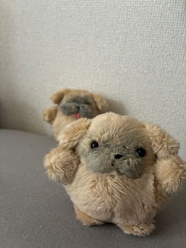 うしろ　みて？　ゆわれた