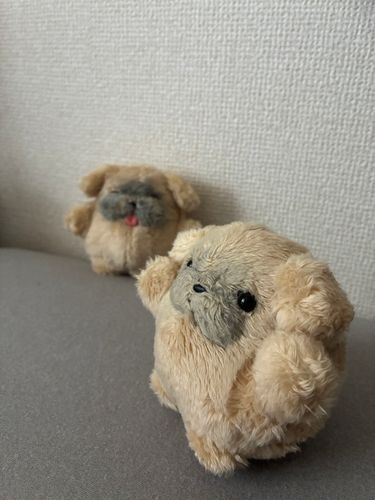 ？