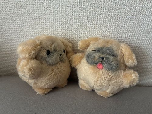 ふくの　あたらし　おともだち！！！！！
ねてる