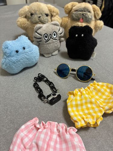 ふくとすやから　おみやげ