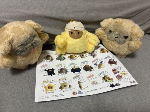 きょうは　きた　から　あたらし　おともだちが　きたよ
すぱてぃ　いうんだって
かれー　すきらし