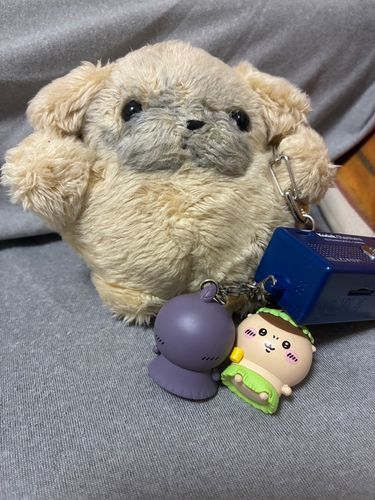 かいぬし、すきなこ　でたらし
よかたね