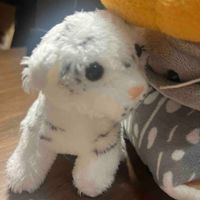 小嶋元太