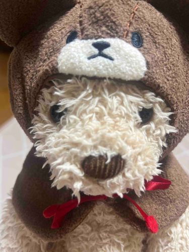 かわいいね⸝⸝ʚ̴̶̷̆_ʚ̴̶̷̆⸝⸝でもなんか嫌そう、𝒄𝒐𝒐𝒍 𝒌𝒊𝒅 なので