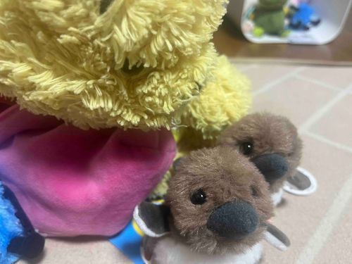 とてとて
(with見守るきぐま)