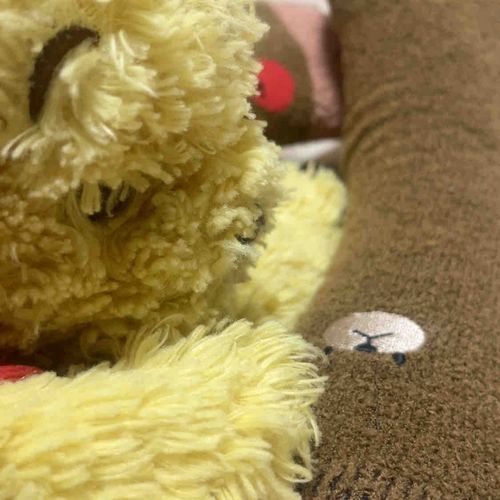 かわいいくつ下がくさくならないか毎日心配してくれてありがとうね😟
