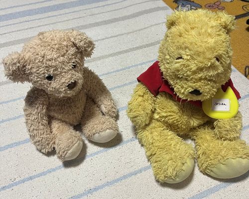 あのスーパーアイドルのラストライブがあった日の夜