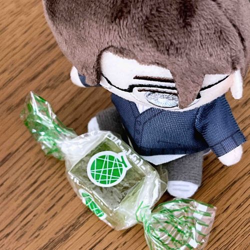 ルイさんにお菓子を渡しました。どうやら緑色がお気に入りのようです。