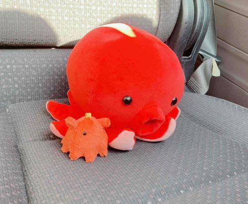 でしもタコチャとおでかけしよー！
おてんきだから！
