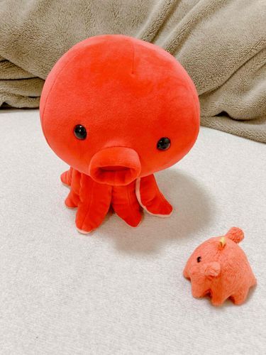 び
びっくりしたよう
タコチャもうだめかとおもったよ