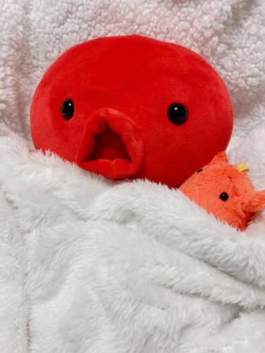 ねむたくないけどねるかー！
ふわもこのおともだちー！おやすみー！