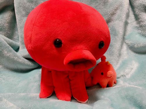 きょうのタコチャは
かなしいことたくさんでもうだめだ…