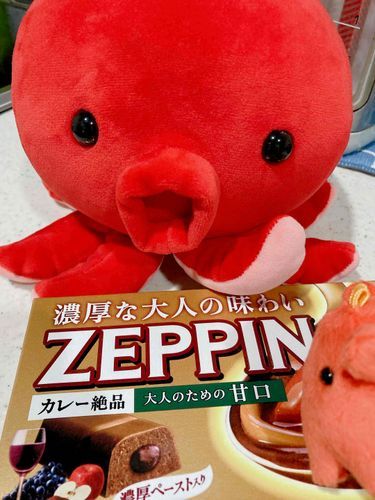 じゃん！タコチャは
いっちょまえ だから
おとなのカレーたべるよ！