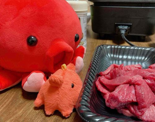 ぎゅうたん！
でしもたべる？