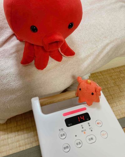 おふとん あったかくなるやつ！
タコチャも でしも
ぬくぬく！