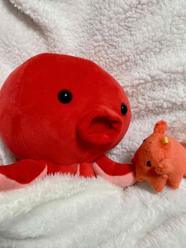 ふぅふぅ
タコチャいつもより
かお あかいきがするの
