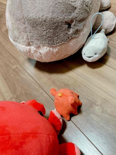 そのこドオーちゃのでし？