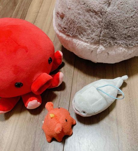 でしびびってる？