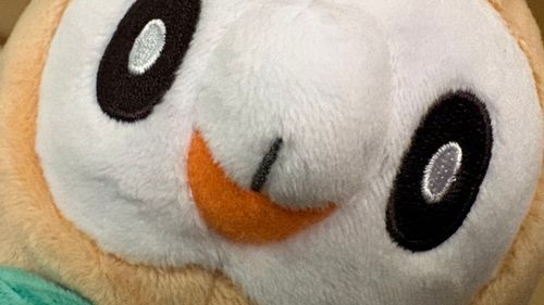 きょうは もくろーび やね！