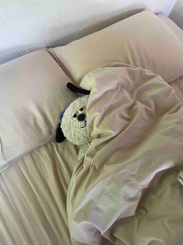 むにゃむにゃ
まだねむいぶぶ