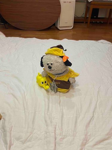 ぼくのおきにいりの ぞうさんのじょうろぶぶよ