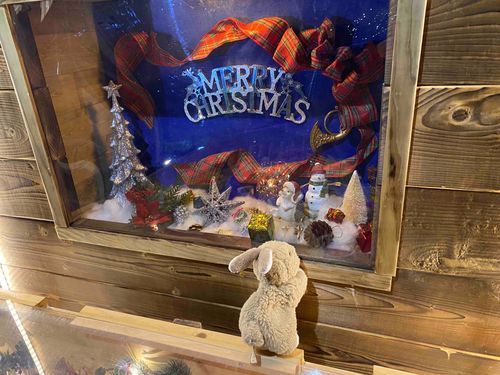 クリスマスって、なんだか楽しいちょび。イルミネーションもキレイだちょび！