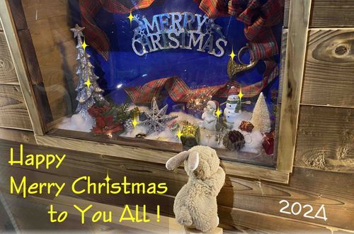 Happy holidays!
ちょびはクリスチャンじゃあないけど、クリスマスは美味しいもの食べてプレゼントをもらう日だちょび！