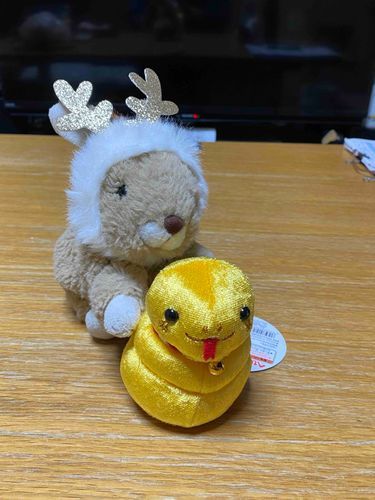 クリスマスから年越しへ突入だちょび。来年頑張ってくれるはずの「 みーさん」がお家に来てくれたちょび！