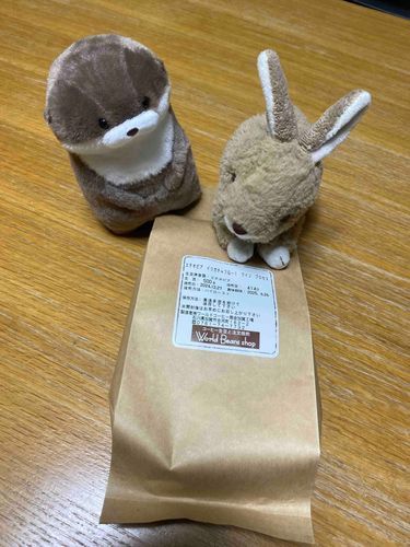 飼い主さんがコーヒー豆を買ってきたちょび。良い匂いがするからこっそり開けてみるちょび。