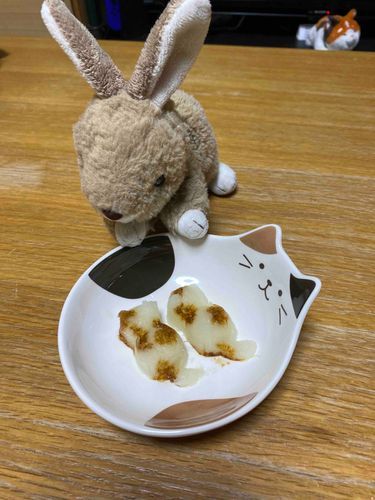 飼い主さんがおろしニャンコ作ってたちょび。イマイチだちょび！