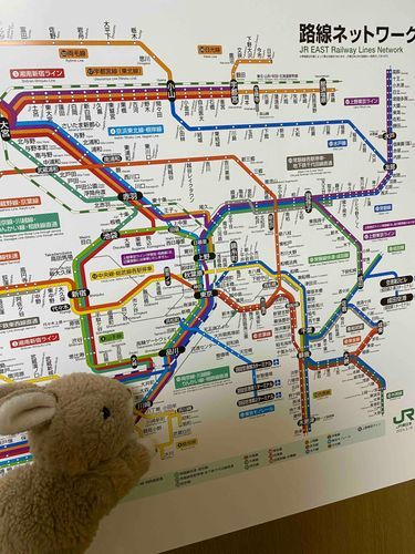 飼い主さんがお風呂の壁に貼る路線図を買ってニコニコしてたちょび☺️
よくわからないちょび。