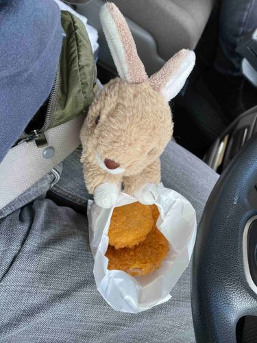 足尾ってところで飼い主さんにコロッケ買ってもらったちょび。ハムカツも一緒で嬉しいちょび☺️