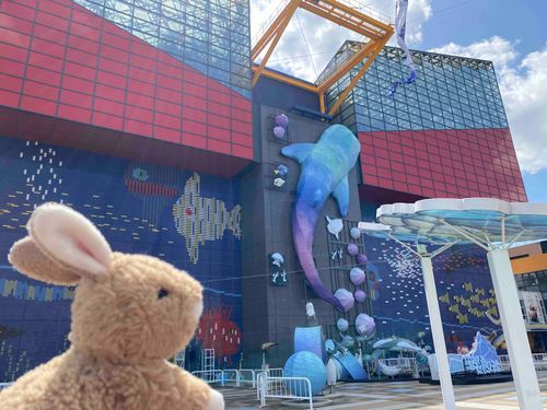 海遊館にジンベエザメさんに会いに行ってきたちょび。