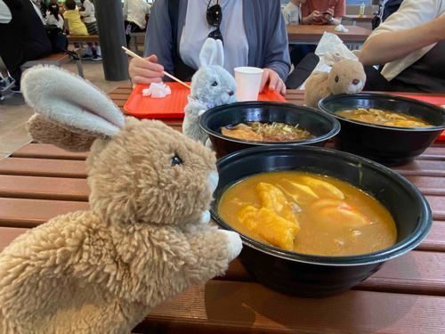 名古屋で若鯱家のカレーきしめん食べたちょび！