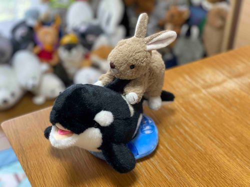 シャチさんに乗せてもらったちょび！ちょっとカッコいいかな？