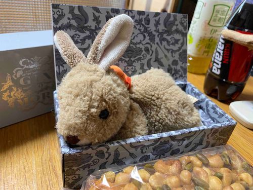 GIN NO MORI の箱のサイズがちょびにはピッタリだったちょび。
何だか居心地がいいちょび！
