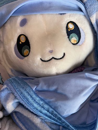 お昼寝も夜眠る時もいつも一緒に寝ています(՞っ  ̫ _՞)ᐝ