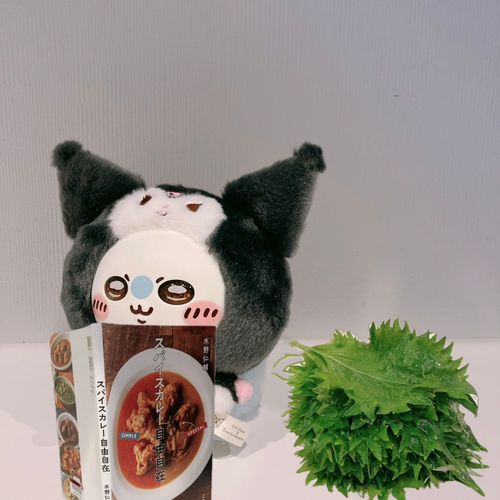 大葉をたくさんもらった🌱
大葉と梅干しのカレーを作ろうと思う！
具は鯖にするか、鶏にするか…
うーん、悩む！