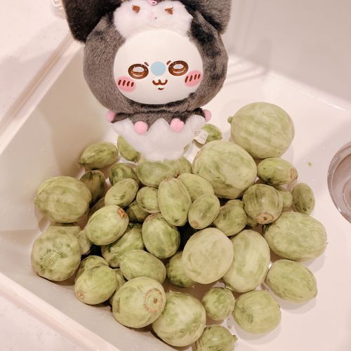 　🍈今年も来たぞｯ‼︎🍈
🍈摘果メロンの時期ｯ‼︎🍈