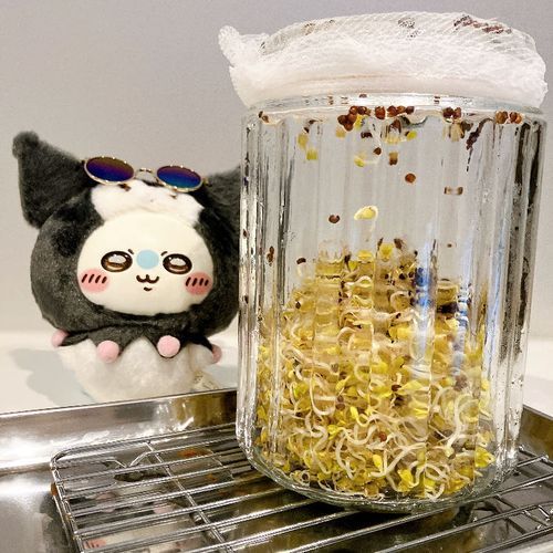 なんだ！お前ッ‼︎
🥦「スプラウトです、スルフォラファンをどうぞ」
