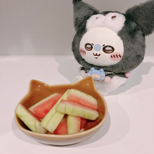 スイカの皮でも食っとくきますか…