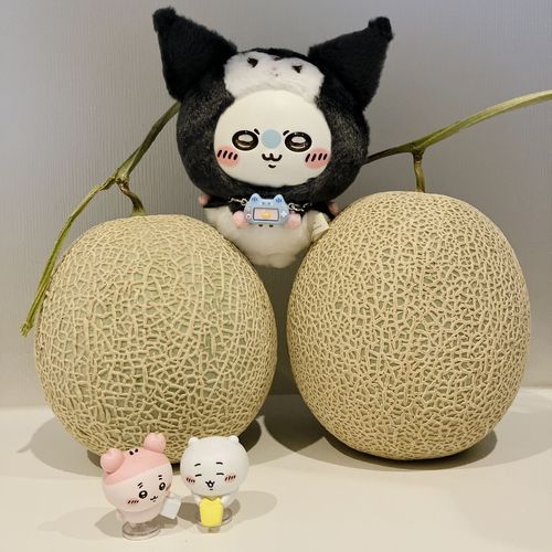 今年はメロンが豊作なのか！？
3個で千円だ！🍈🍈🍈
