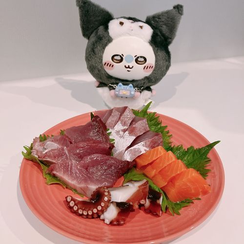 みろ！刺身を切った！🔪