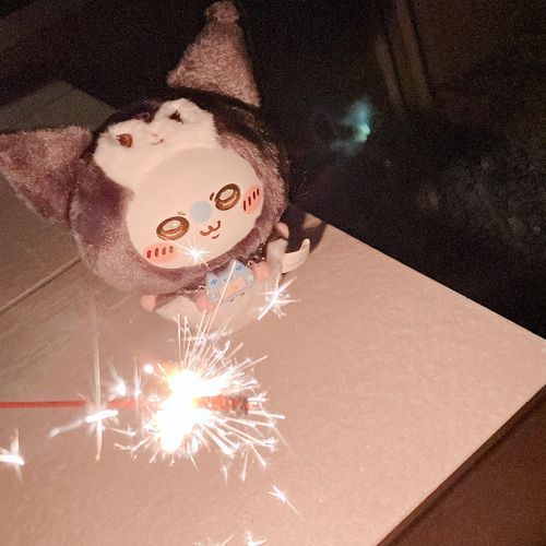 花火
酔っ払いでもキレイだと思う