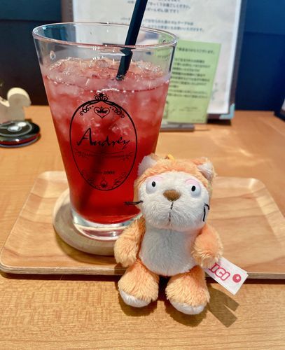 今日はお休み☀️