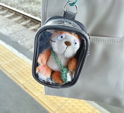 出勤スタイル🐱